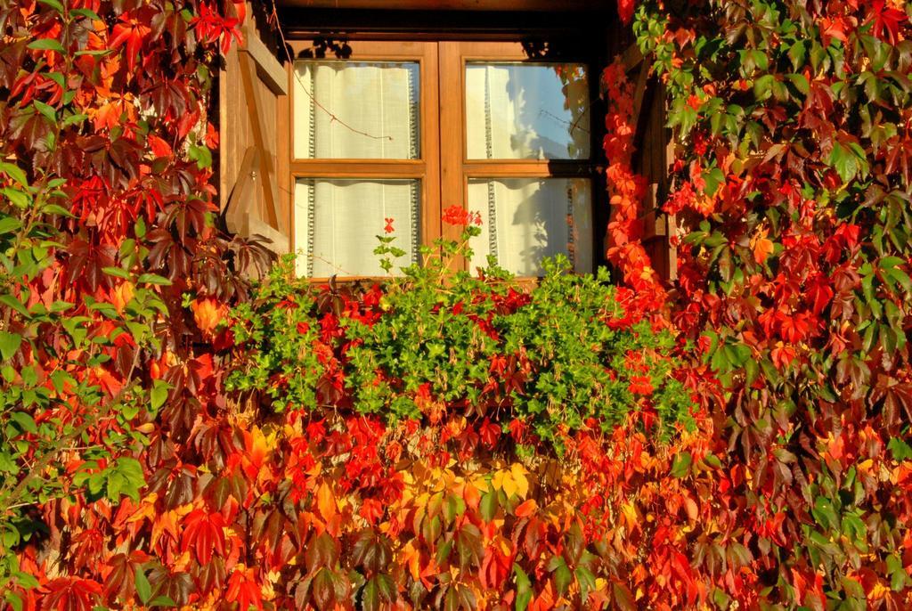 Hotel Selba D'Ansils Benasque Bagian luar foto